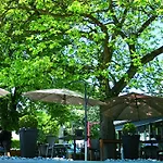 Otel Ravel Cyrano Waimes